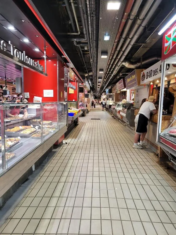 Chambre Sud Chez Habitant Toulouse Ubytování v soukromí
